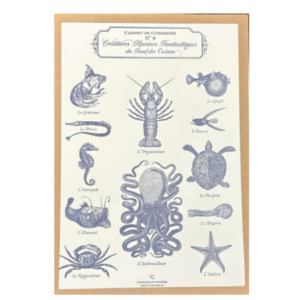 Poster des Créatures Marines Fantastiques du Fond des Océans