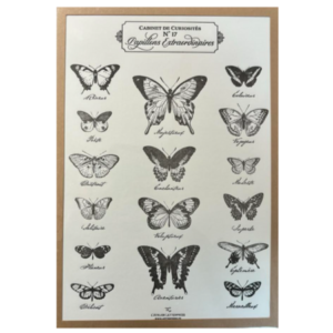 Tirage d’art Papillons Extraordinaires imprimé à la main en letterpress papier épais 100% coton possibilité d’encadrer