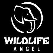 ONG Wildlife Angel - lutte anti braconnage