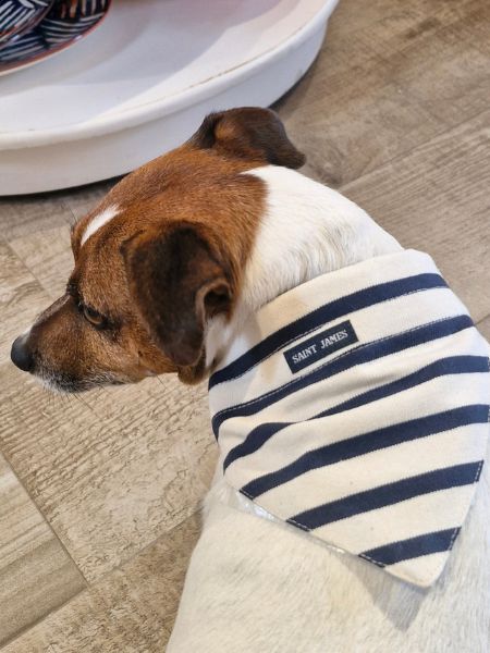 Retrouvez les vêtements et Accessoires Saint James La nouvelle collection Printemps – été est disponible à La maison du Pont Canal